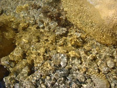 Прикрепленное изображение: DSC09932.JPG